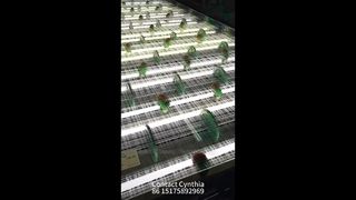Vários estilos de malha laminada de vidro disponíveis