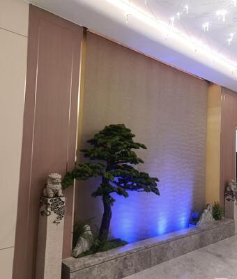 Cortina de água decorativa de aço inoxidável Fluxo de água uniforme Luzes de ambiente LED Dividor de sala